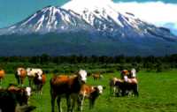 Mt. Taranaki, New Zealand